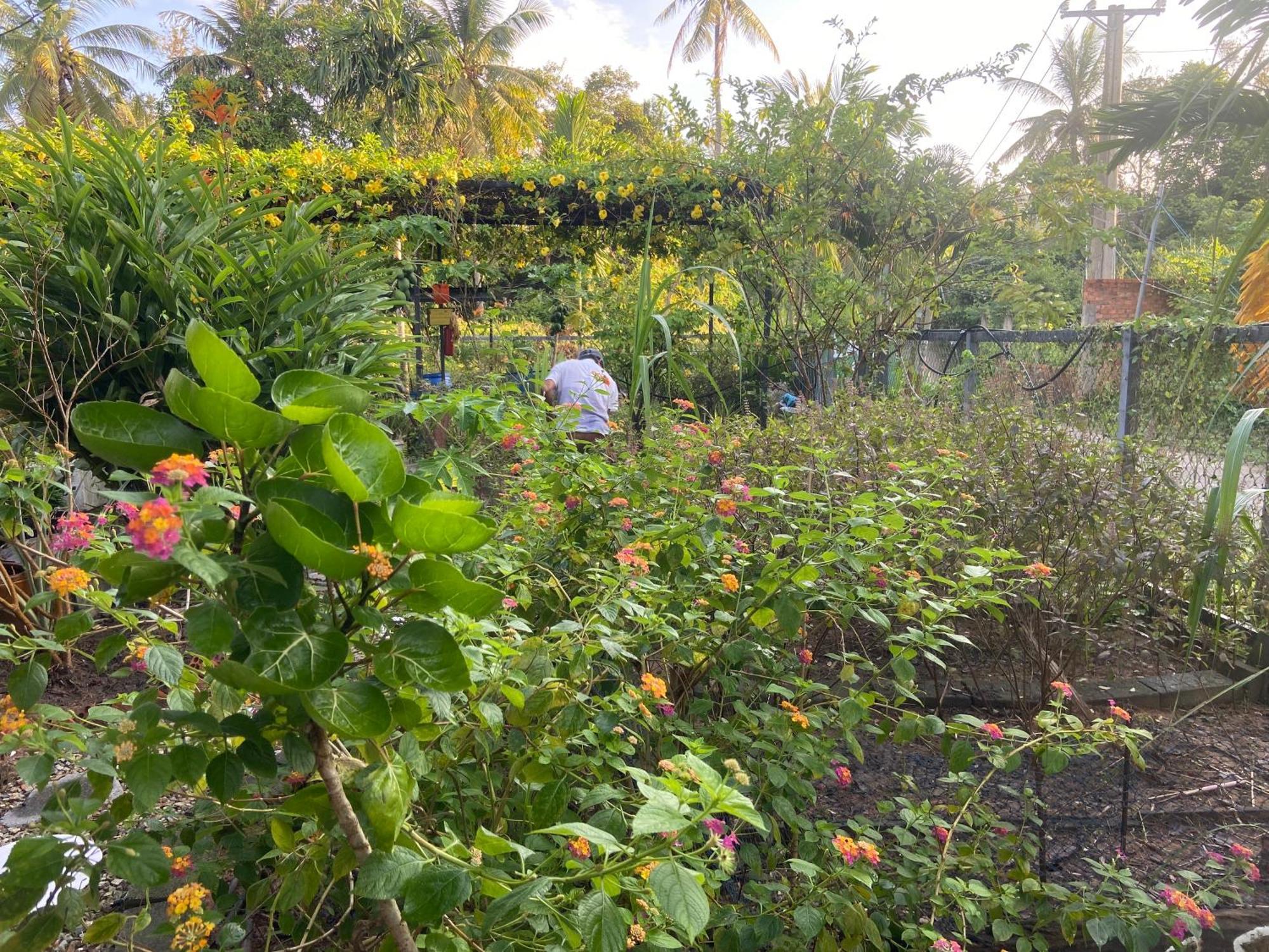 Lana Land Homestay Phú Quốc-sziget Kültér fotó
